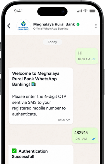 WhatsApp Banking Interface