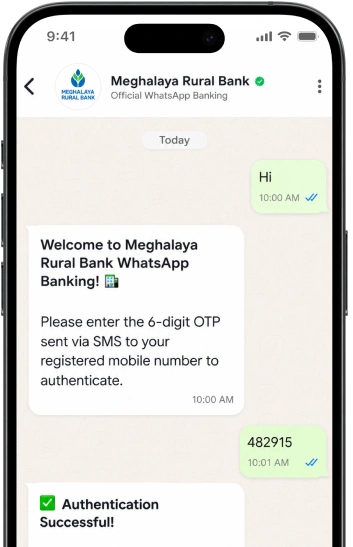 WhatsApp Banking Interface